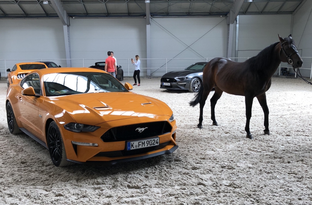 Nowy Ford Mustang: wściekły albo okiełznany