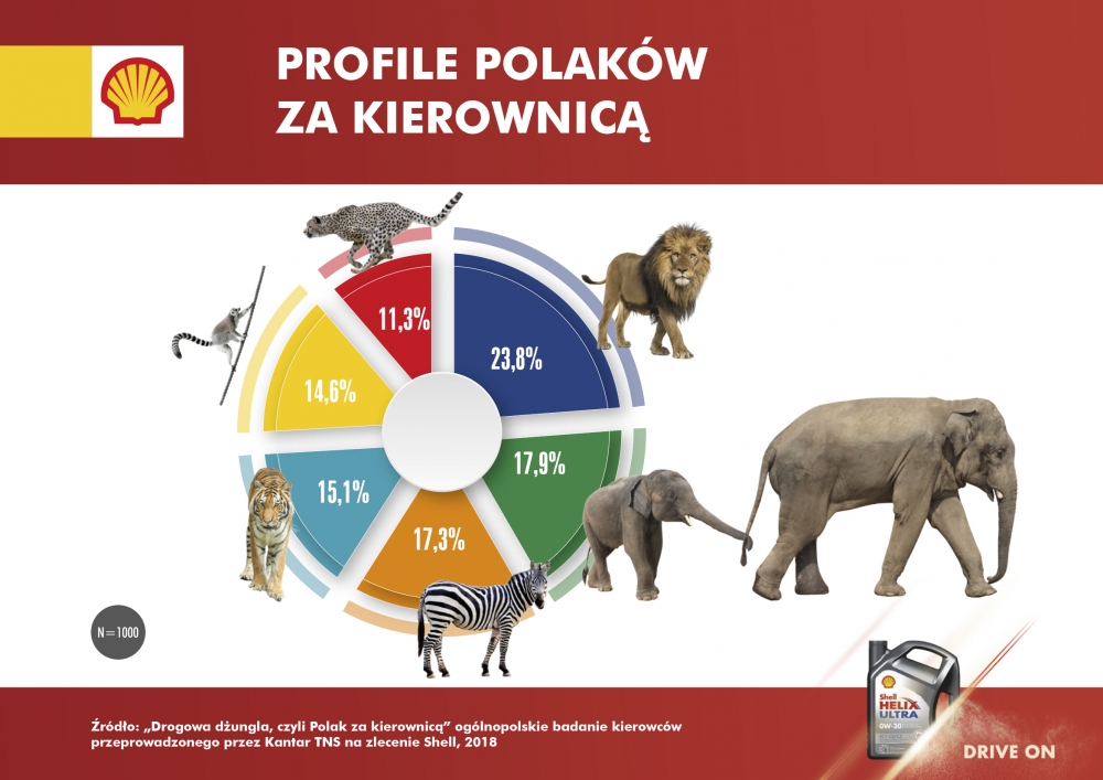Drogowa dżungla, czyli Polak za kierownicą
